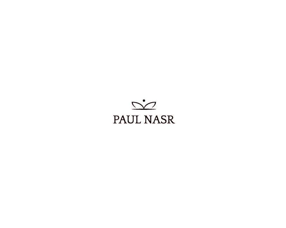 Light Lux - Paul Nasr
